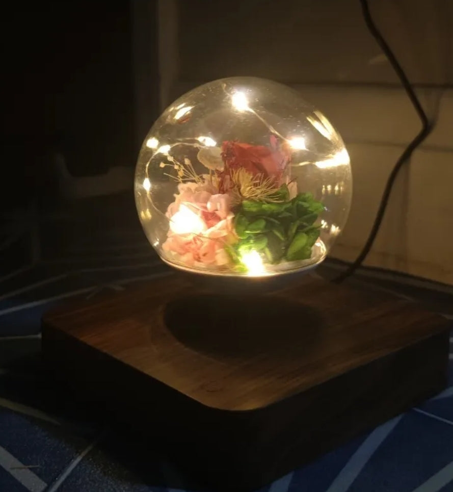 Floating Illuminated Rose Globe Levitating Mains Powered Soothing Light